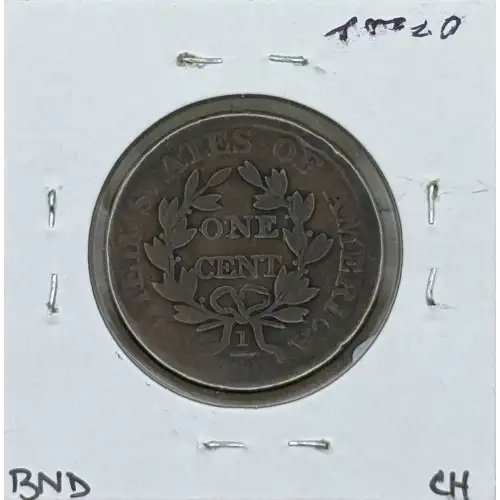 Large Cents---Draped Bust 1796-1807 -Copper- 1 Cent