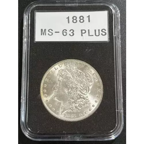 Morgan Silver Dollar