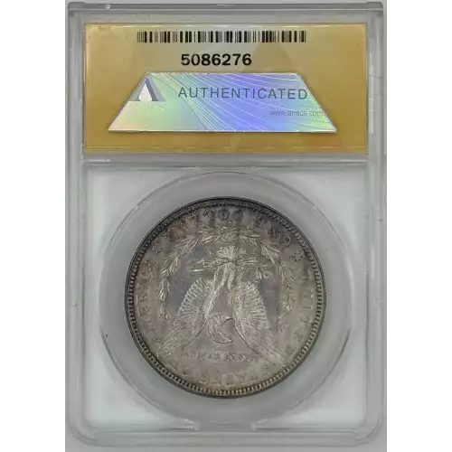 Morgan Silver Dollar (2)