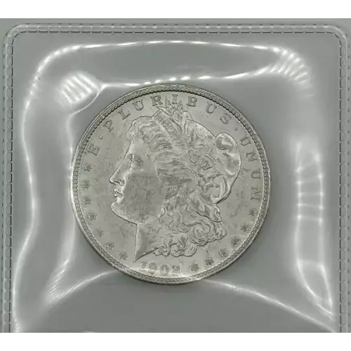 Morgan Silver Dollar