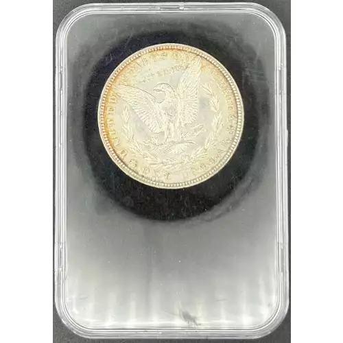 Morgan Silver Dollar (2)