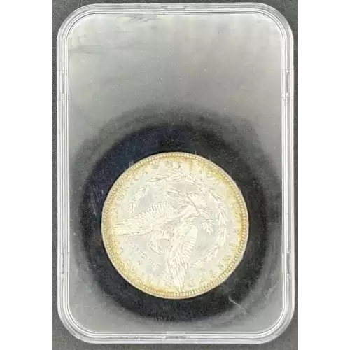 Morgan Silver Dollar