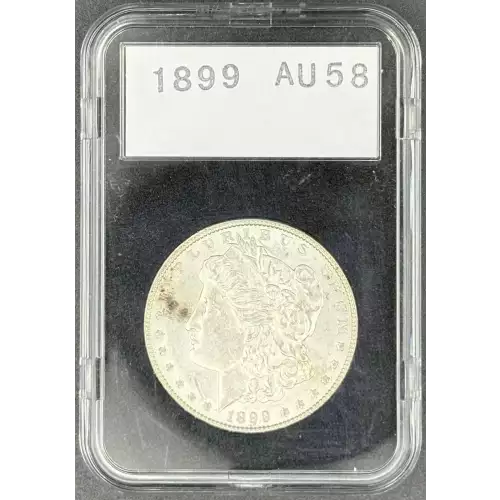 Morgan Silver Dollar