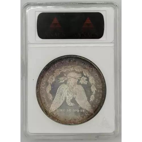 Morgan Silver Dollar