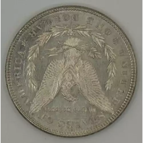 Morgan Silver Dollar (2)
