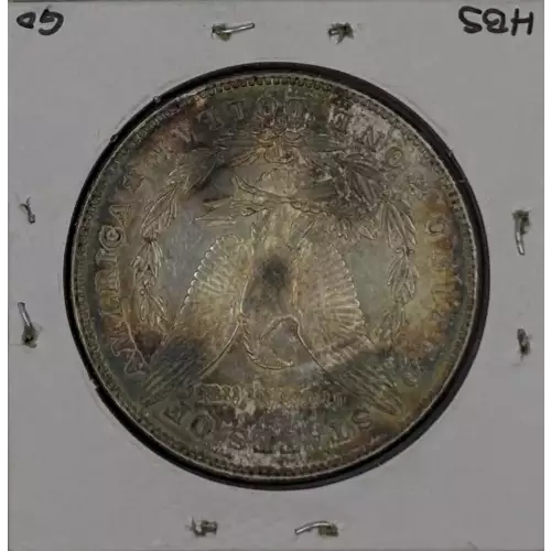 Morgan Silver Dollar