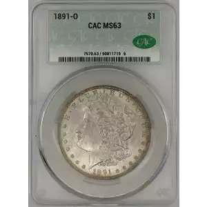 Morgan Silver Dollar