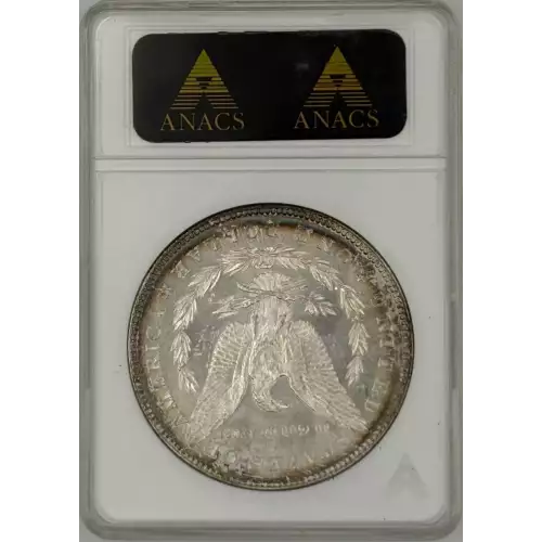 Morgan Silver Dollar (2)