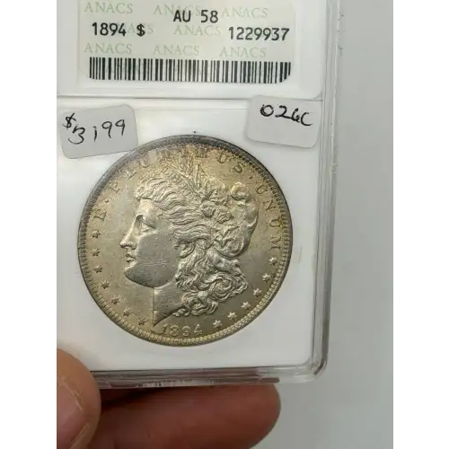 Morgan Silver Dollar