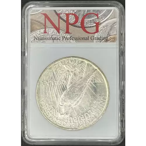 Peace Silver Dollar (2)