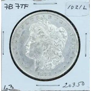 Morgan Silver Dollar
